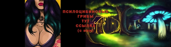 MDMA Верхний Тагил