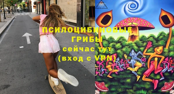 метамфетамин Верея
